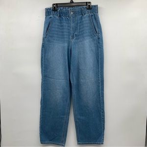 American Eagle AE Jeans Womens 14 R Skater Baggy Wide Leg Elasic Waist Med Light